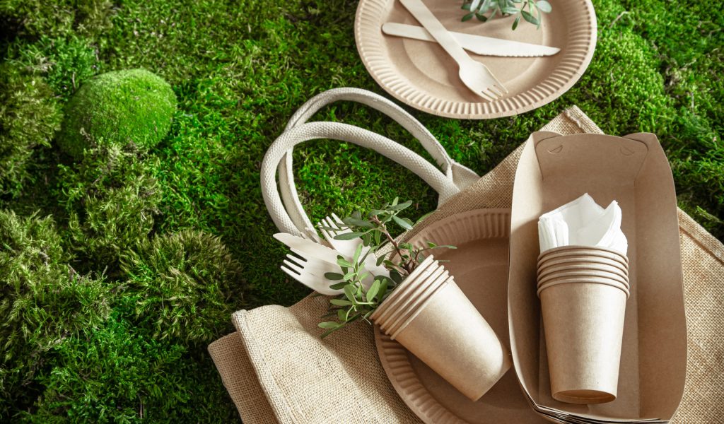 Environmentally friendly, disposable, recyclable tableware. Paper food boxes, plates and Cutlery of cornstarch on a green grass background .
